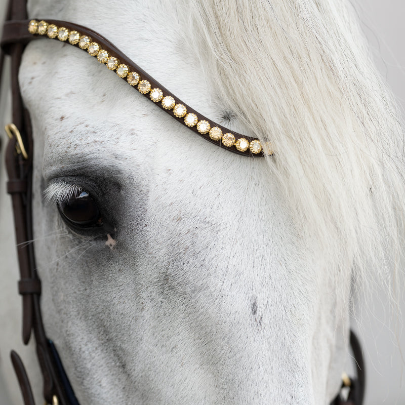 Kavalkade Trense geöltes Leder "Caliano" eng.-komb.