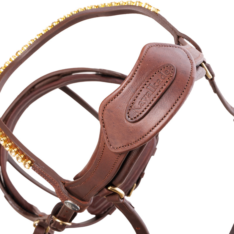 Kavalkade Trense geöltes Leder "Caliano" eng.-komb.