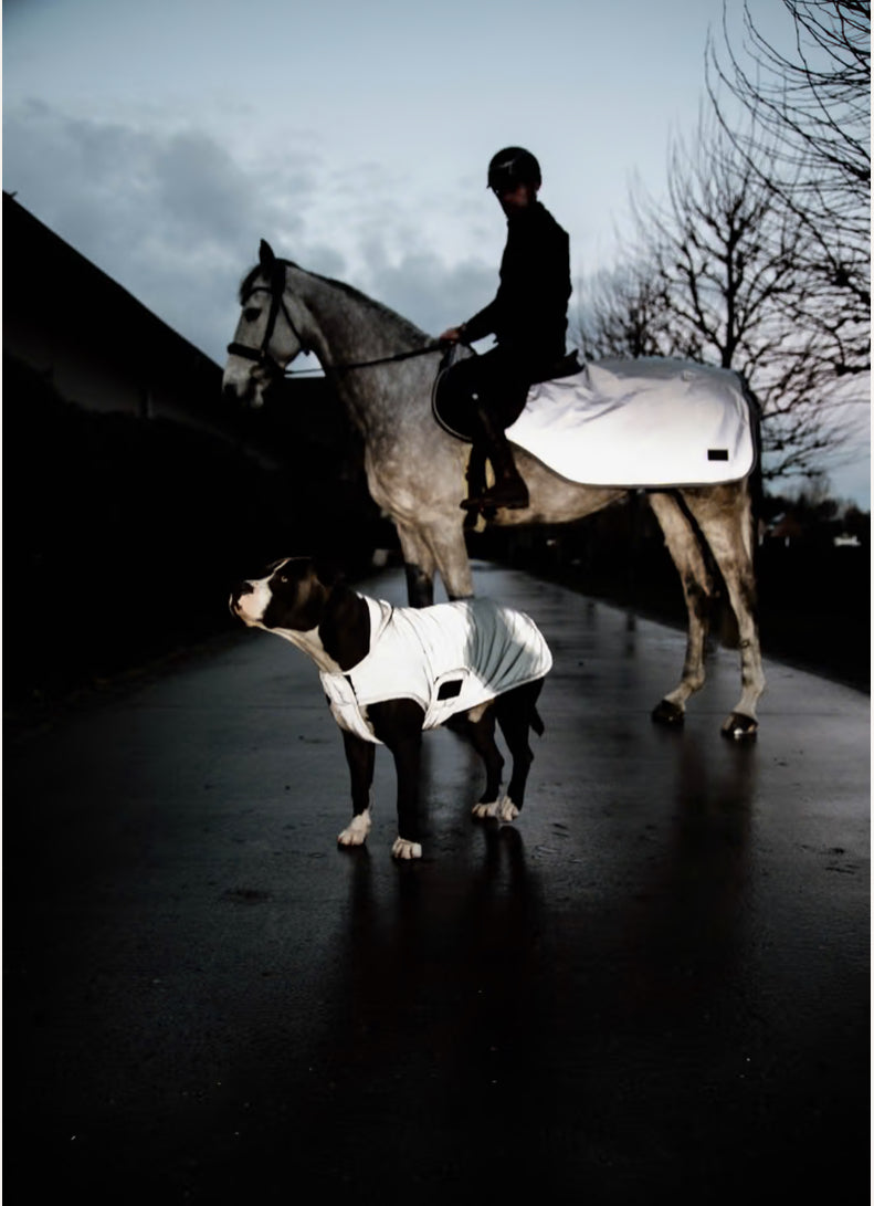 Kentucky Hundemantel Reflektierend & Wasserabweisend
