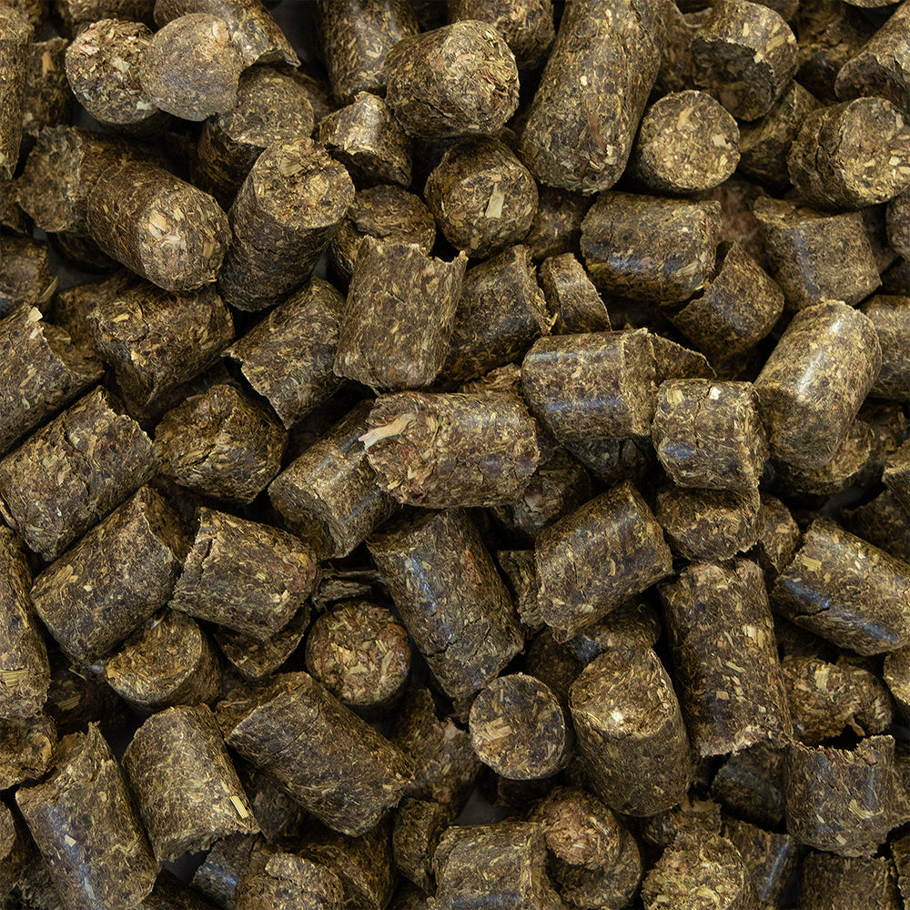 Speed GOODIETUBE „Today I choose Happiness“