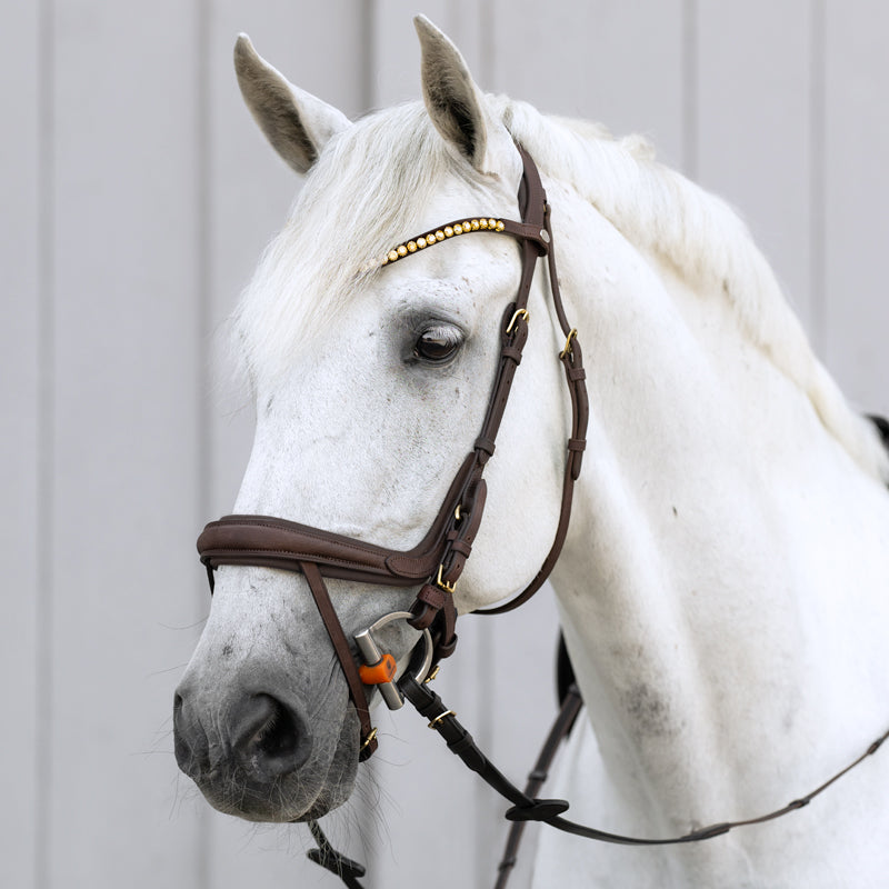 Kavalkade Trense geöltes Leder "Caliano" eng.-komb.