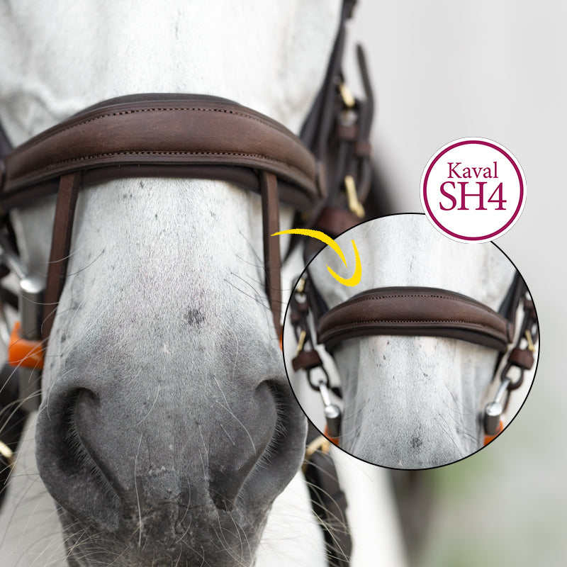 Kavalkade Trense geöltes Leder "Caliano" eng.-komb.