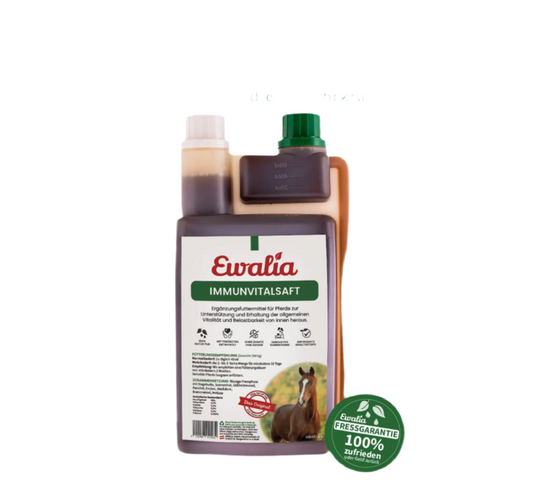 Ewalia Immunvitalsaft