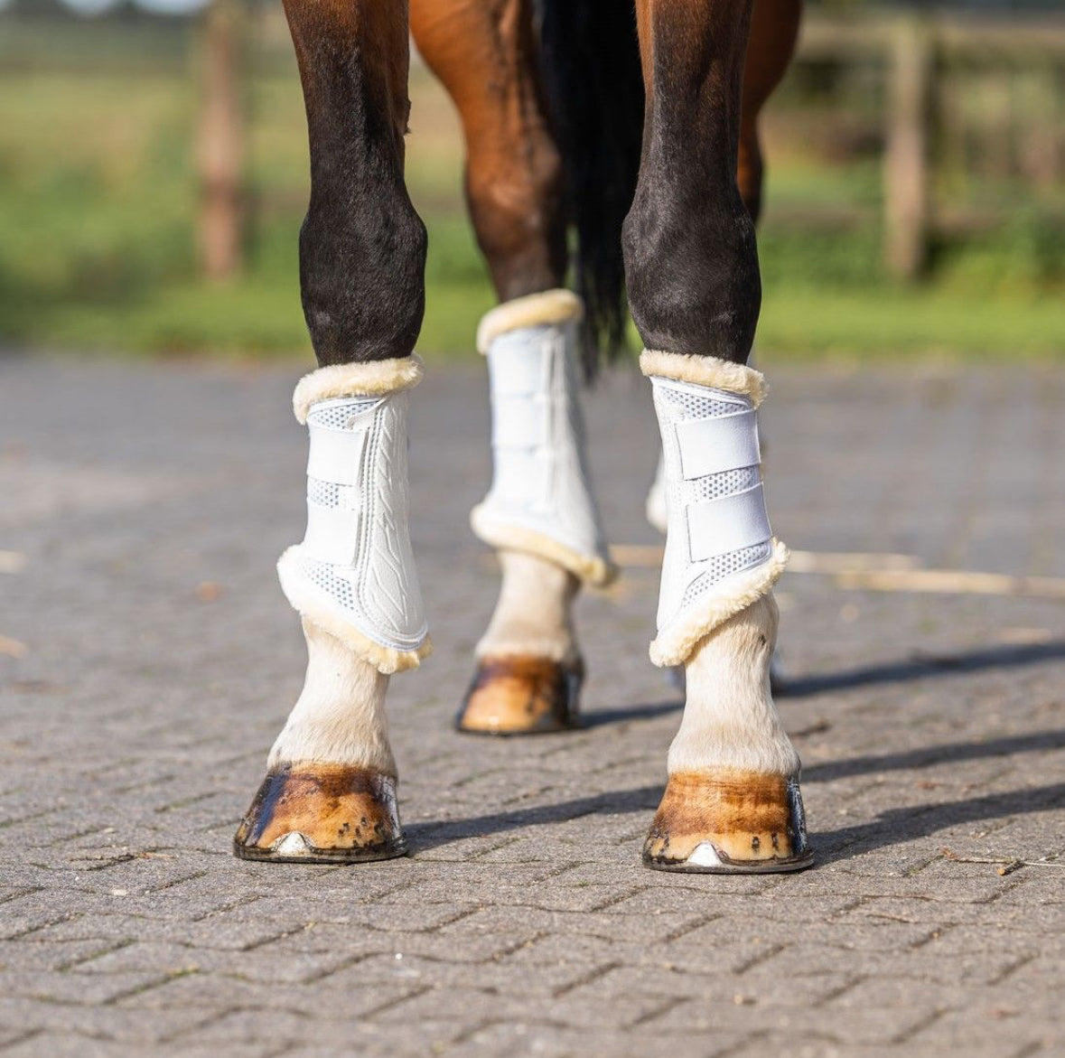 Stübben Airflow Trainingsgamaschen mit Fleece