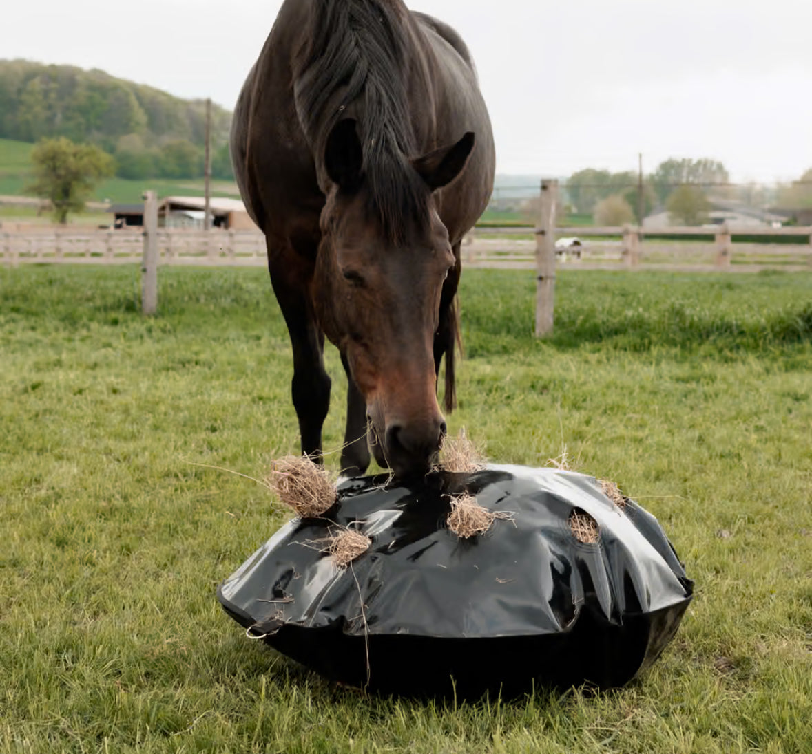 Kentucky Heutasche Play & Slowfeeder Rund