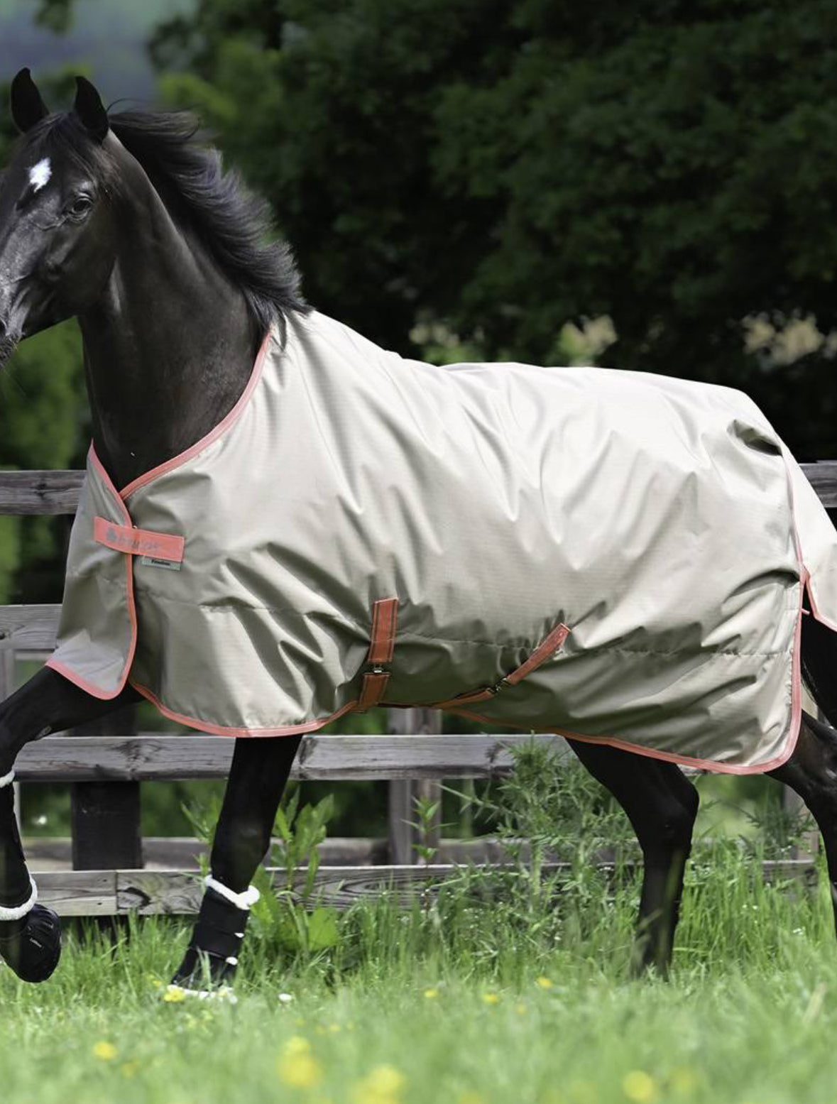 Bucas Freedom Turnout