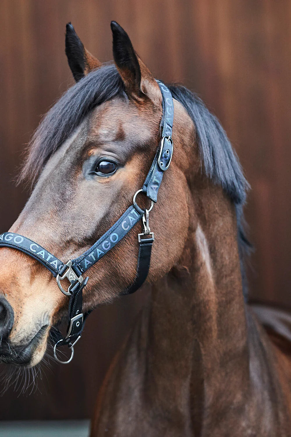 CATAGO Alea reflektierendes Logo Halfter