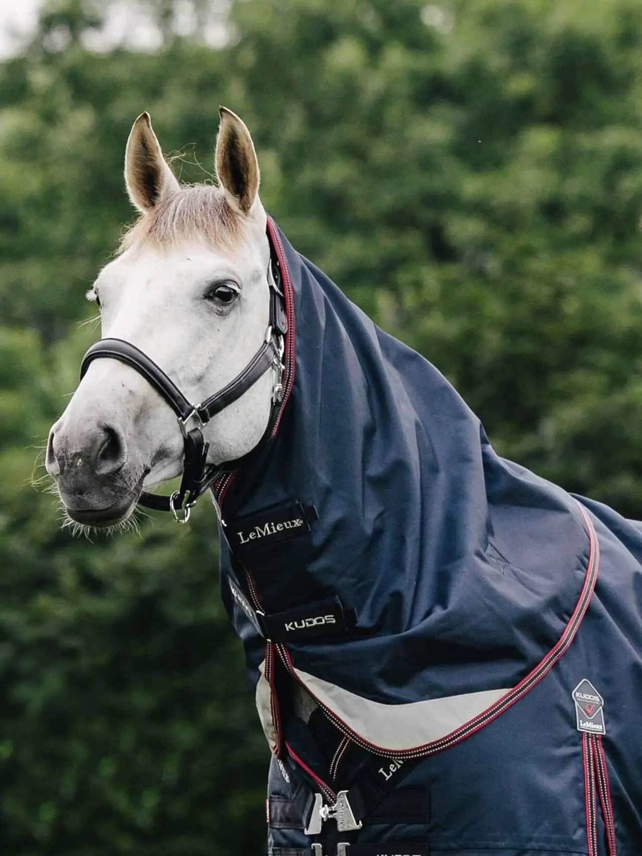 LeMieux Kudos Turnout Halsteil 50g Navy