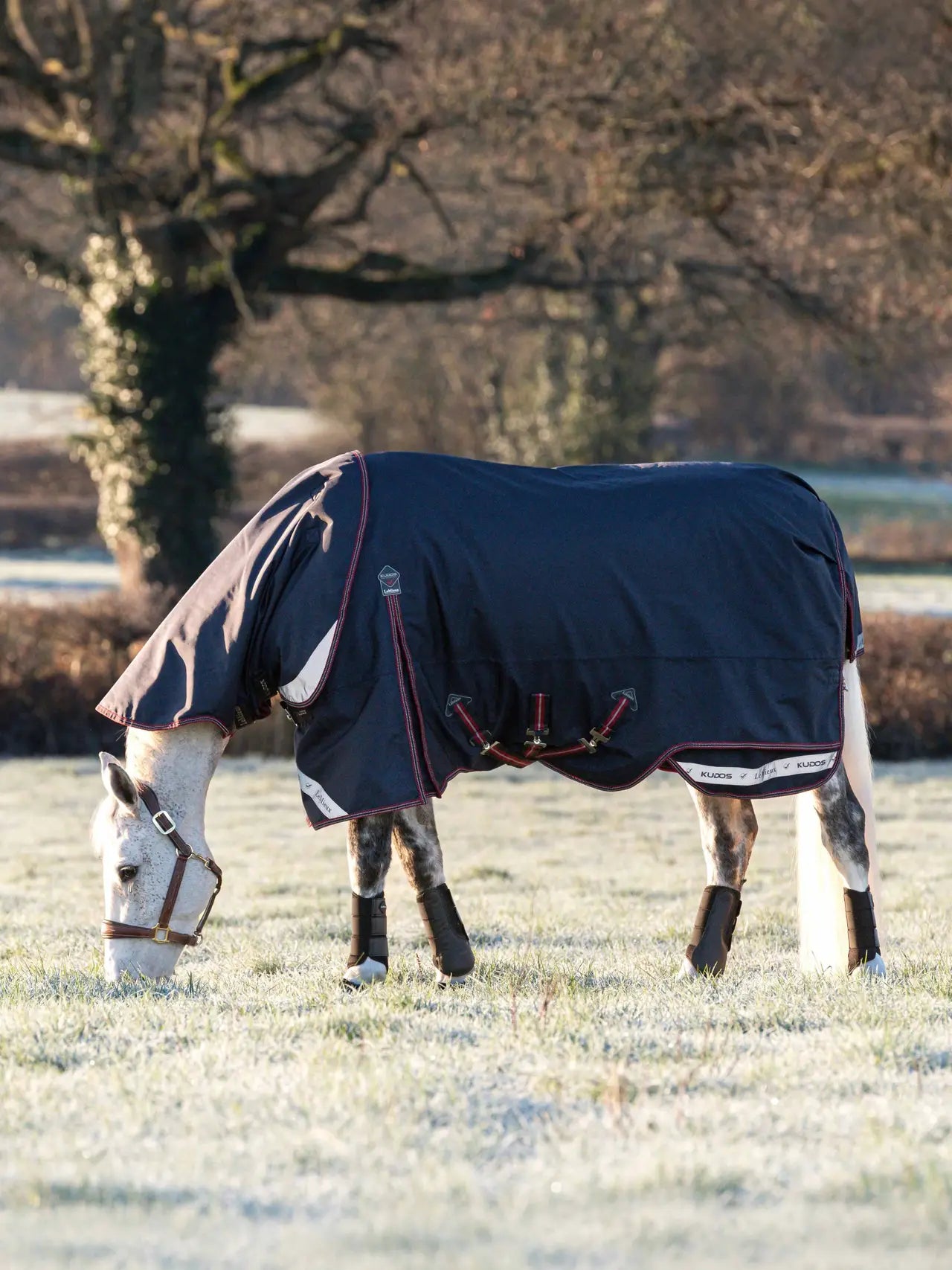 LeMieux Kudos Turnout Halsteil 50g Navy