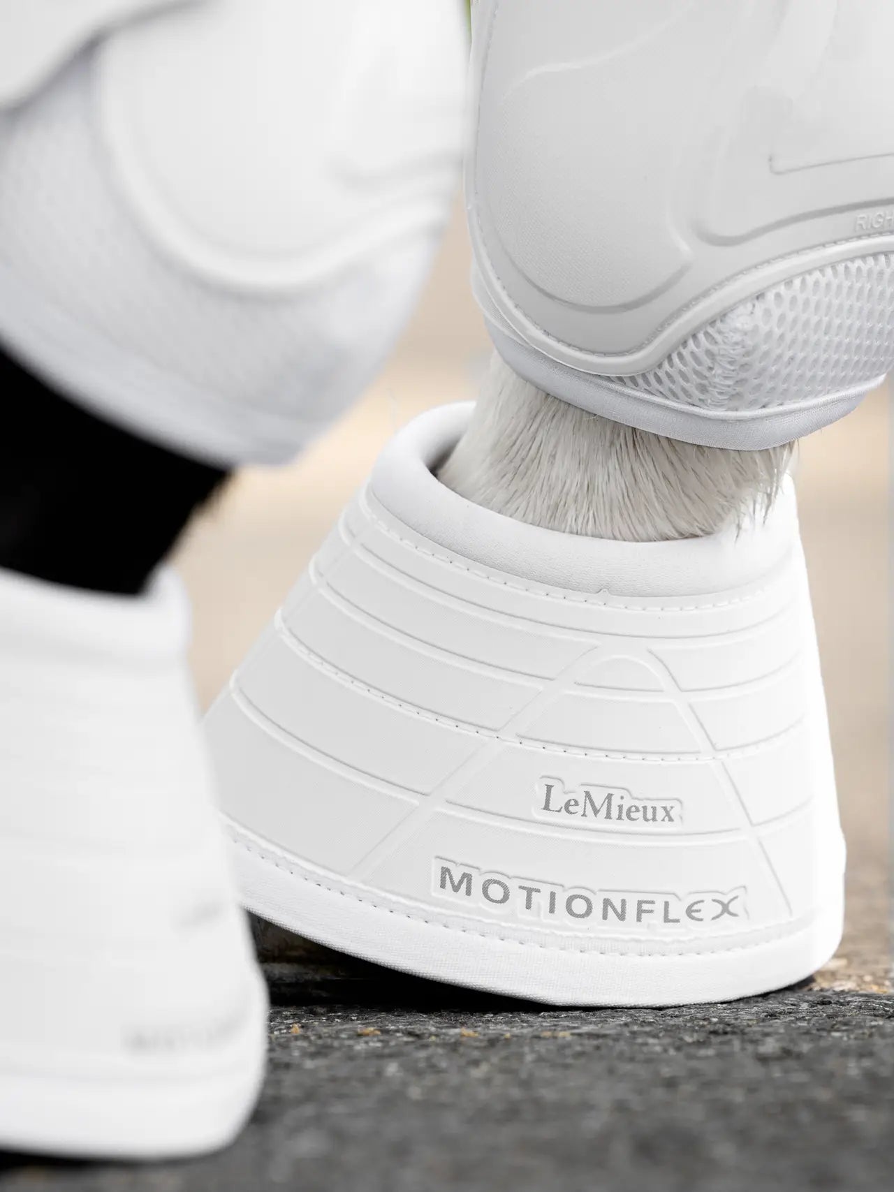 LeMieux Motionflex Hufglocken