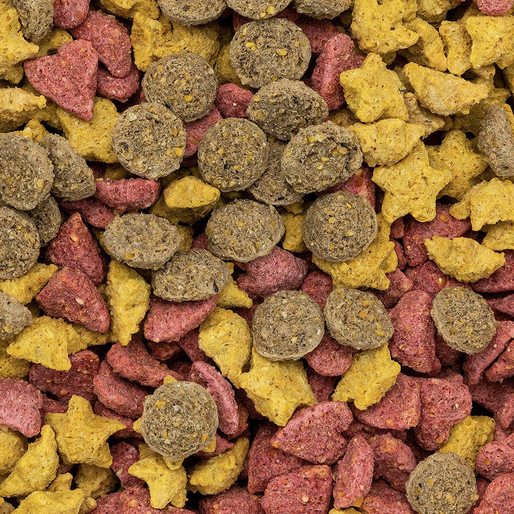 Speed GOODIETUBE „Glitter makes everything better!“