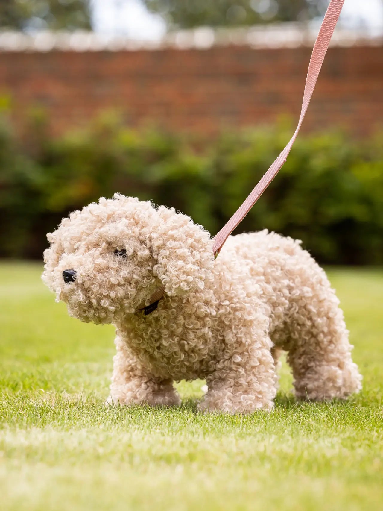 LeMieux Toy Puppy