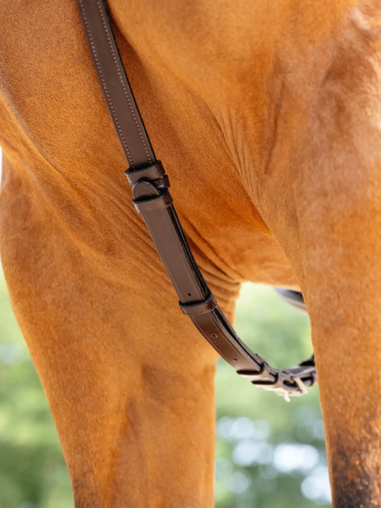 LeMieux Kudos Bridge Breastplate