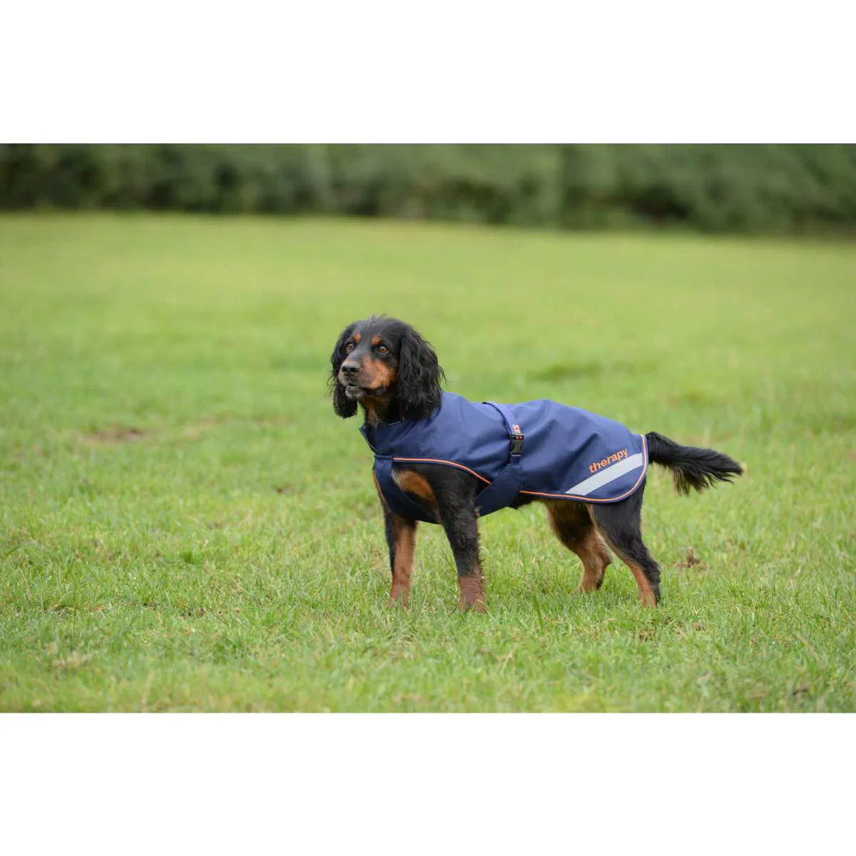 Bucas Therapy Hundemantel 0g