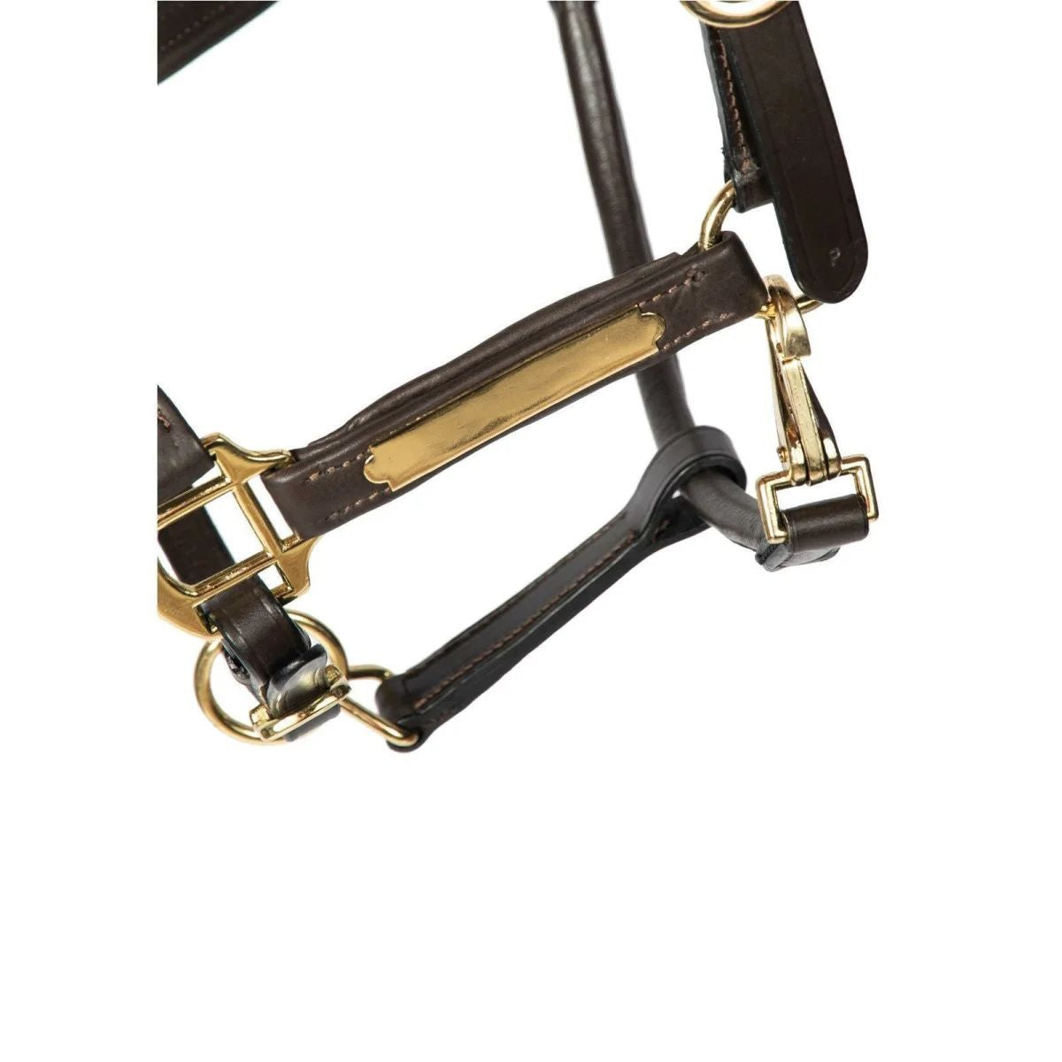 Hans Melzer Halfter Radolfzell Leder (Gravur auf Wunsch möglich)