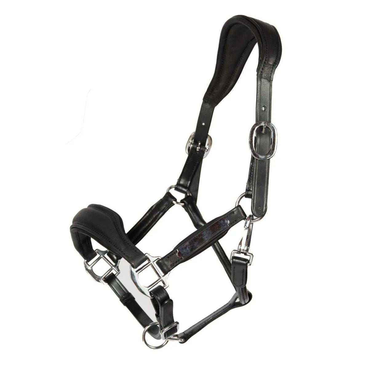 Hans Melzer Halfter Radolfzell Leder (Gravur auf Wunsch möglich)