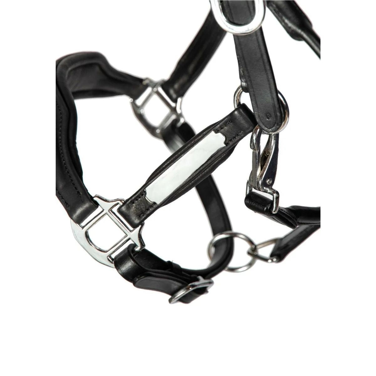 Hans Melzer Halfter Radolfzell Leder (Gravur auf Wunsch möglich)