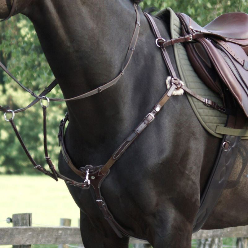 Kavalkade Vorderzeug "Bianca" 5-Punkt mit Elast