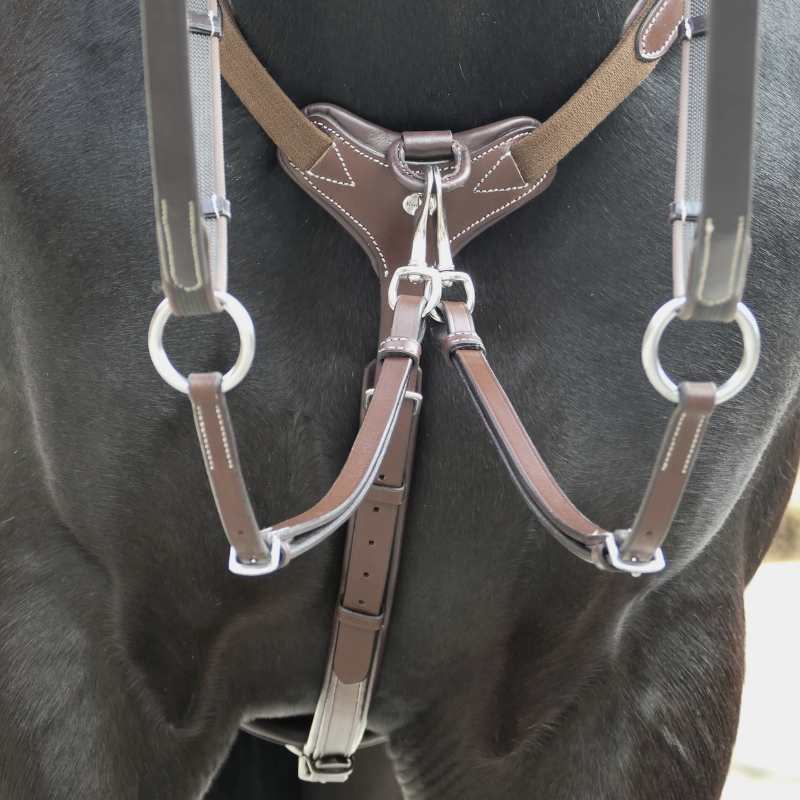 Kavalkade Vorderzeug "Bianca" 5-Punkt mit Elast