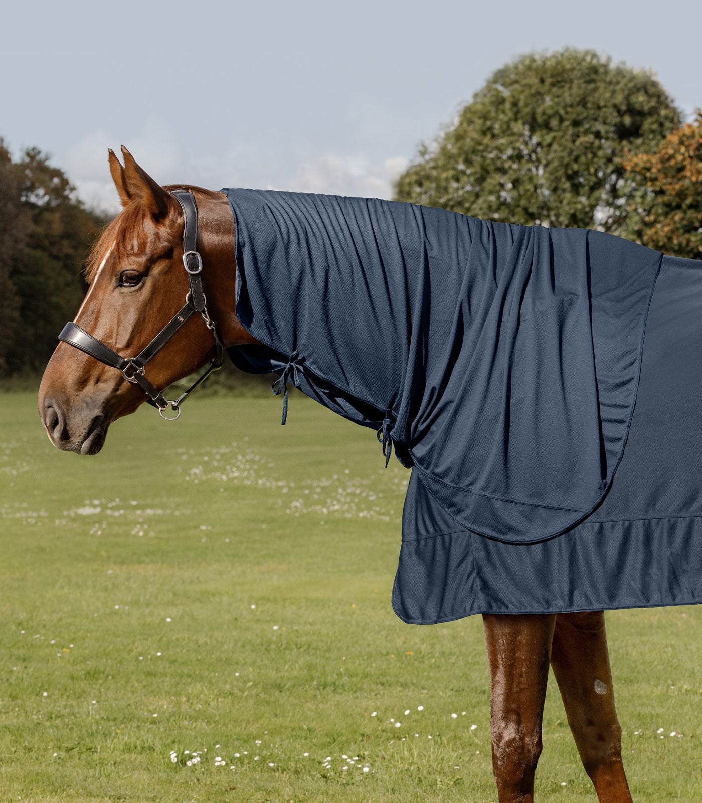 Waldhausen Health + Care Ice-Layer Halsteil