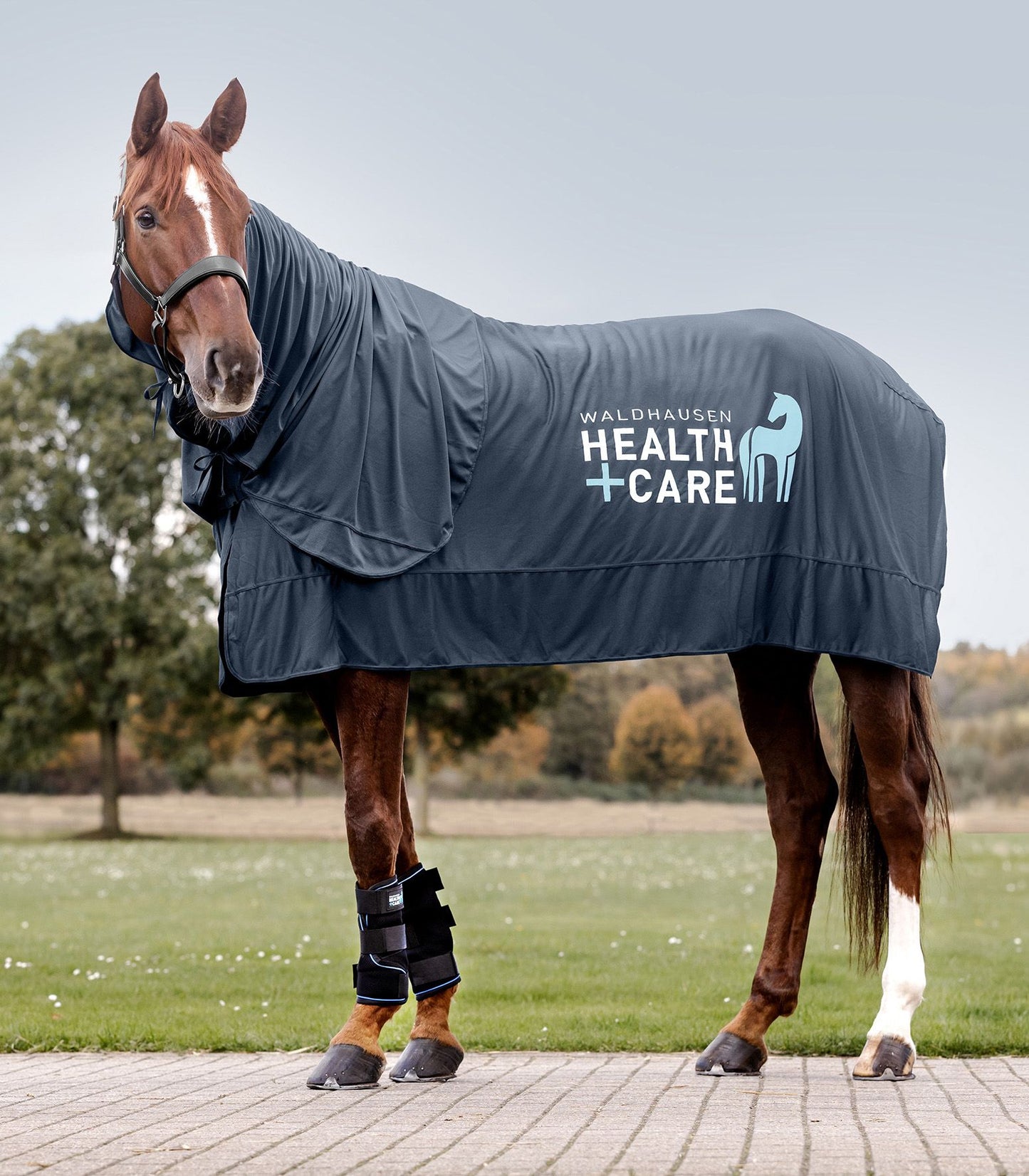 Waldhausen Health + Care Ice-Layer Decke
