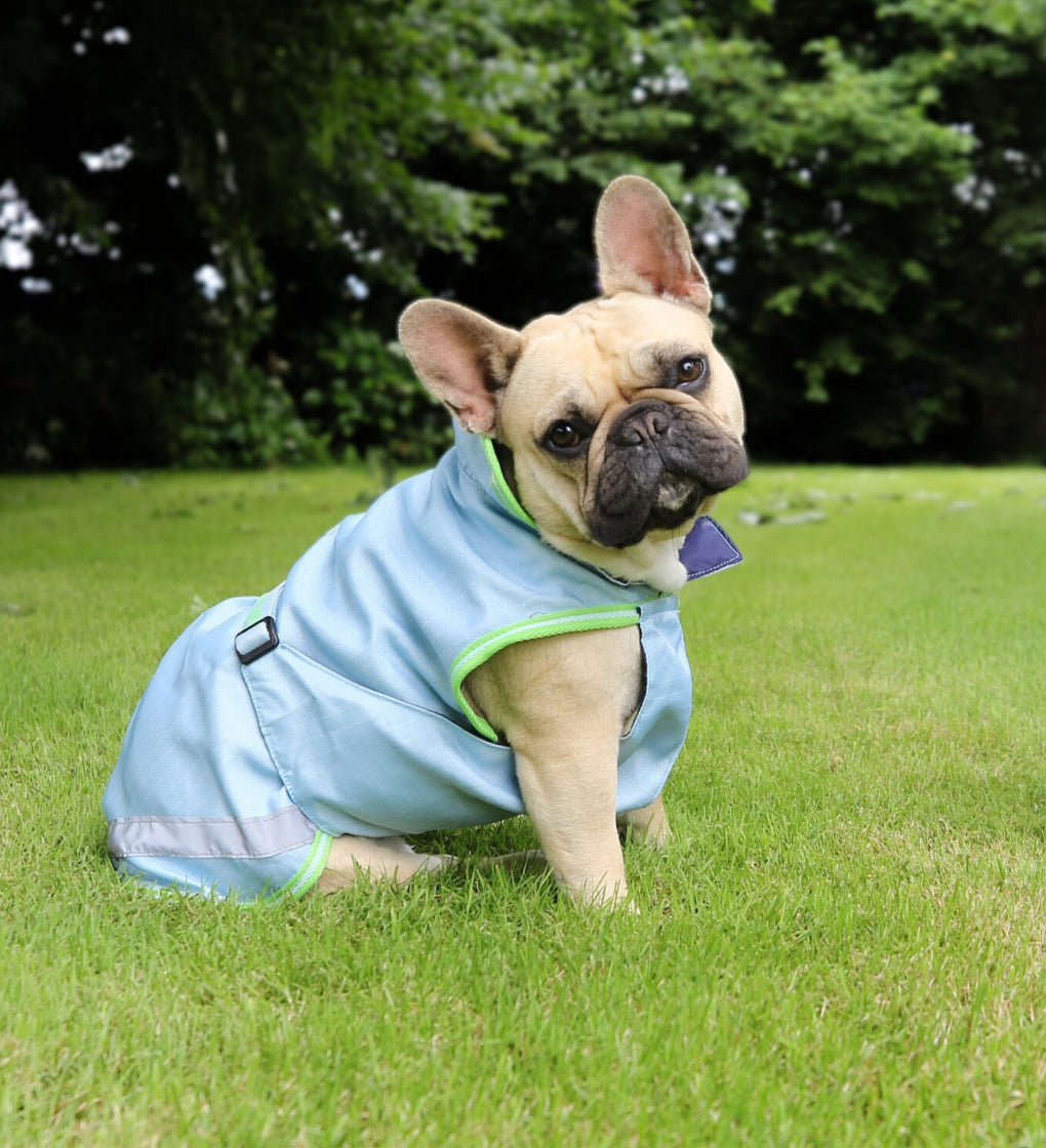 Bucas Regenmantel für Hunde Freedom Dog Rug 50g