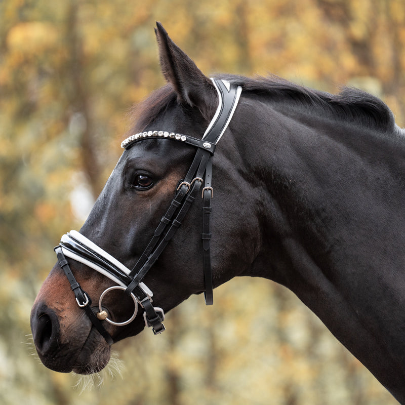 Kavalkade Dressurtrense "Zora" schwed.-komb.