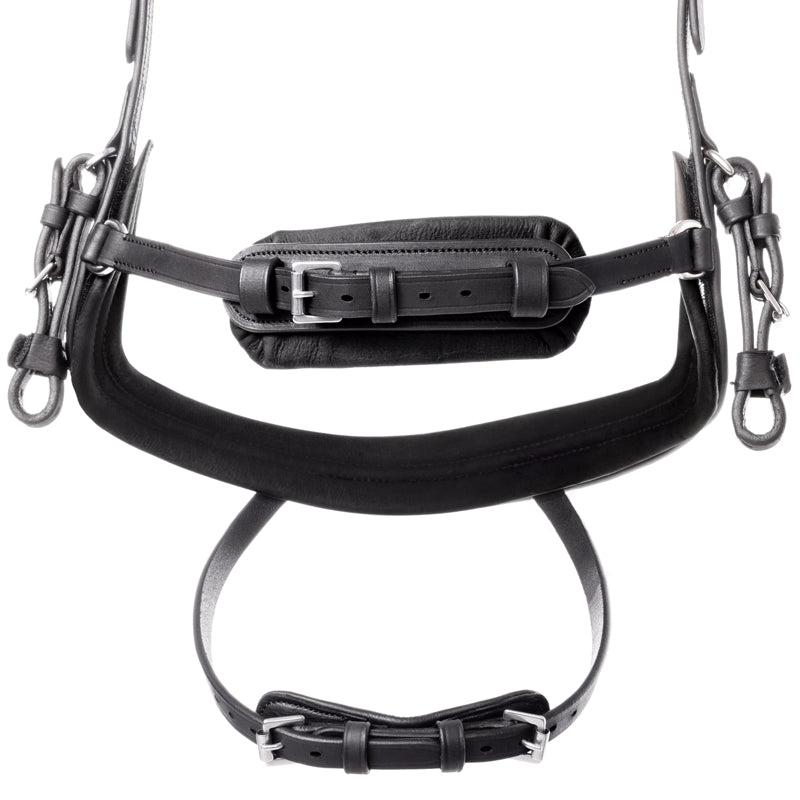 Kavalkade Trense geöltes Leder "Caliano" eng.-komb.