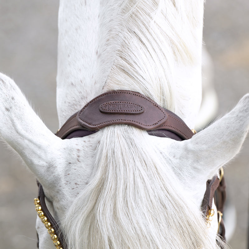 Kavalkade Trense geöltes Leder "Caliano" eng.-komb.