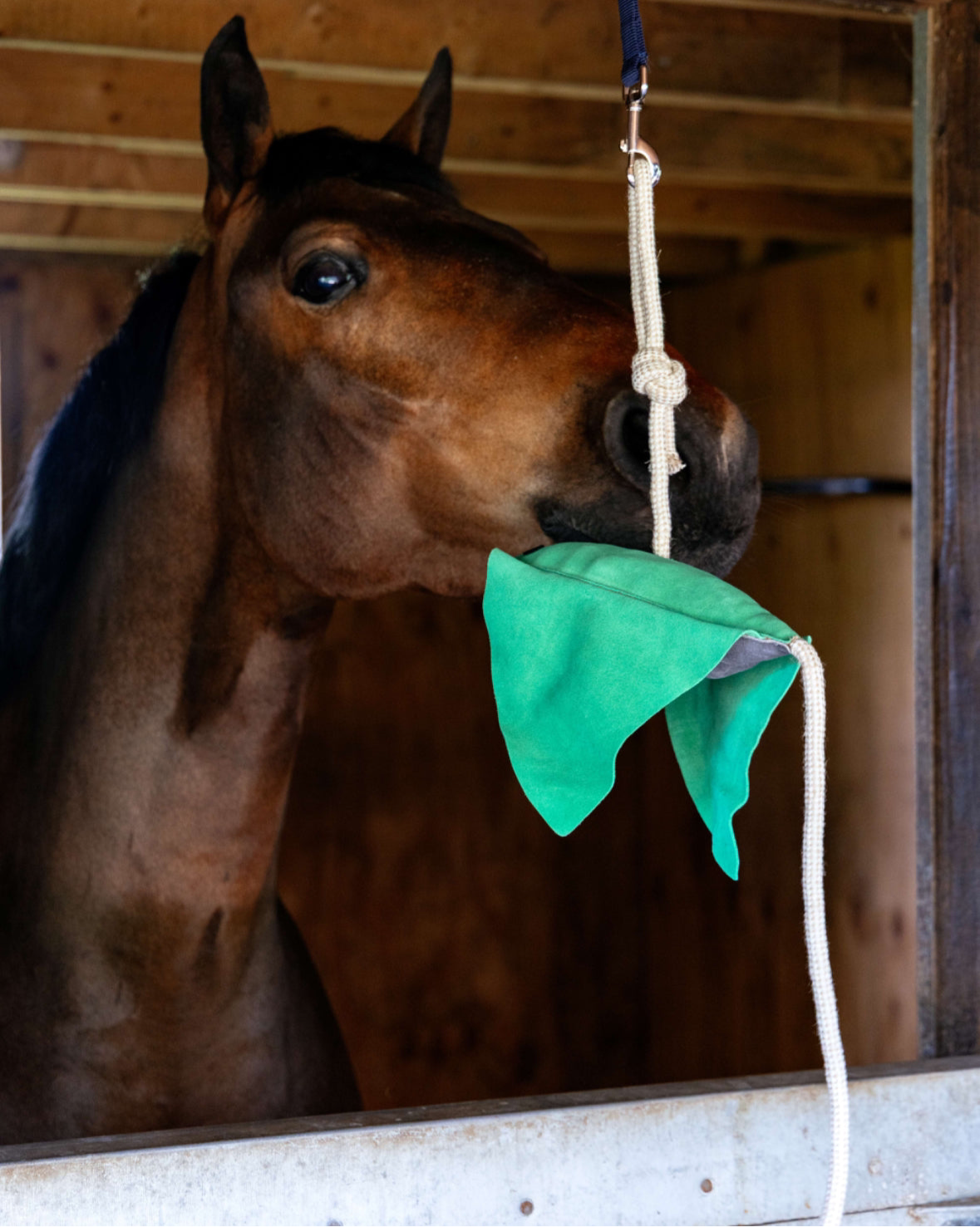 LeMieux Pferdespielzeug