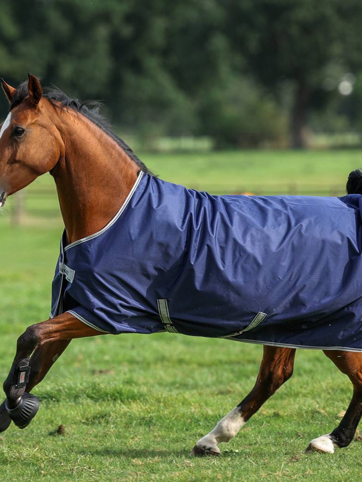 Bucas Freedom Turnout