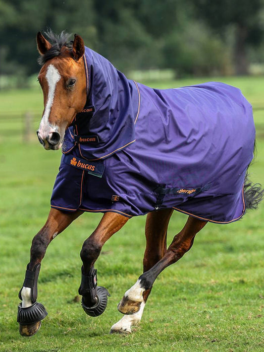 Bucas Therapy Turnout