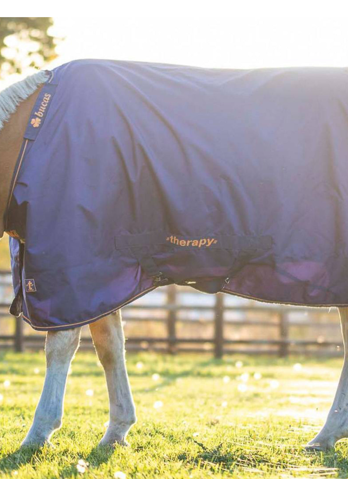 Bucas Therapy Turnout