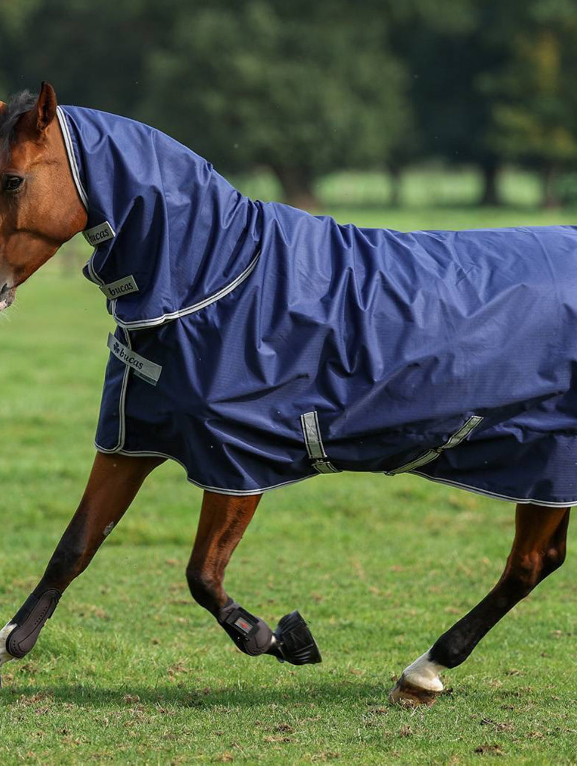 Bucas Freedom Turnout