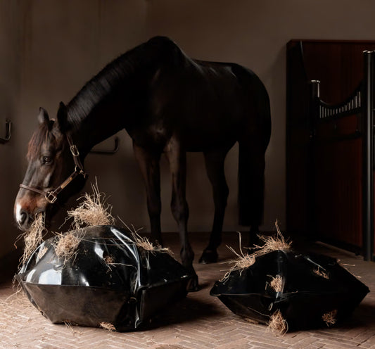 Kentucky Heutasche Play & Slowfeeder Rund