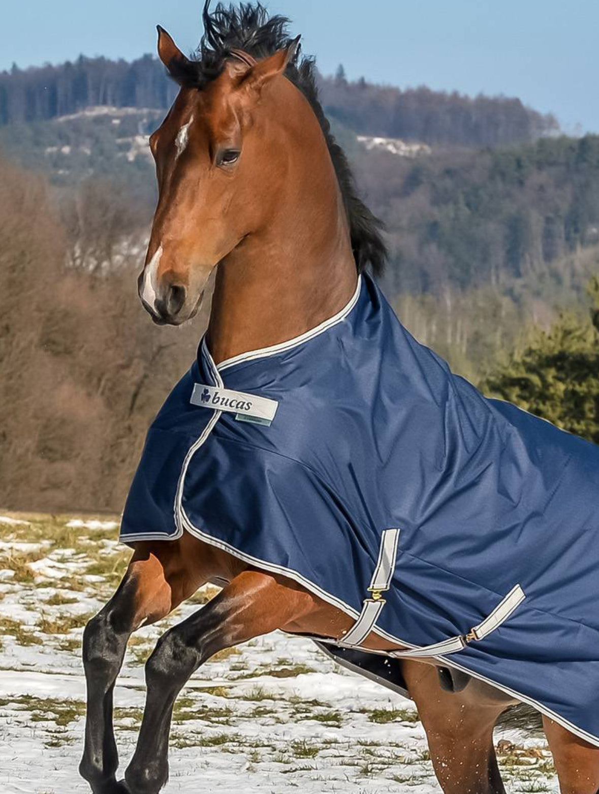 Bucas Freedom Turnout