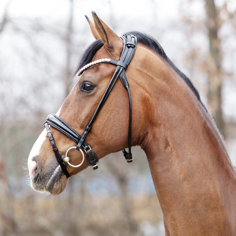Kavalkade Lack-Trense "Florina" schwed.-komb.-rundgenäht