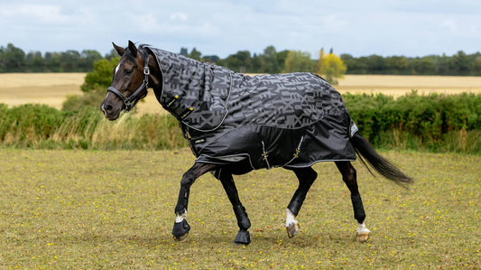 LeMieux Arika Reflektierende 0 g Weidedecke Schwarz