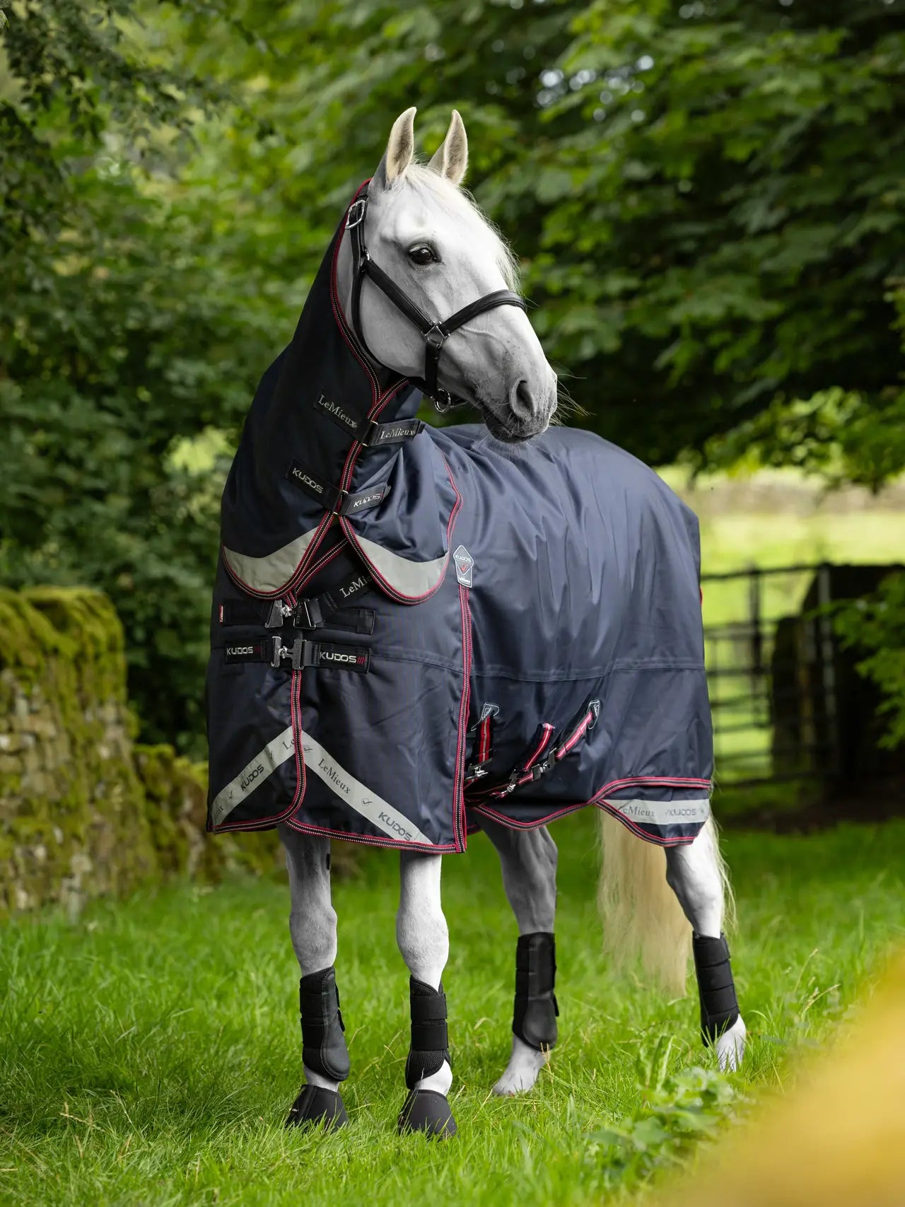 LeMieux Kudos Turnout Rug & Liner Set