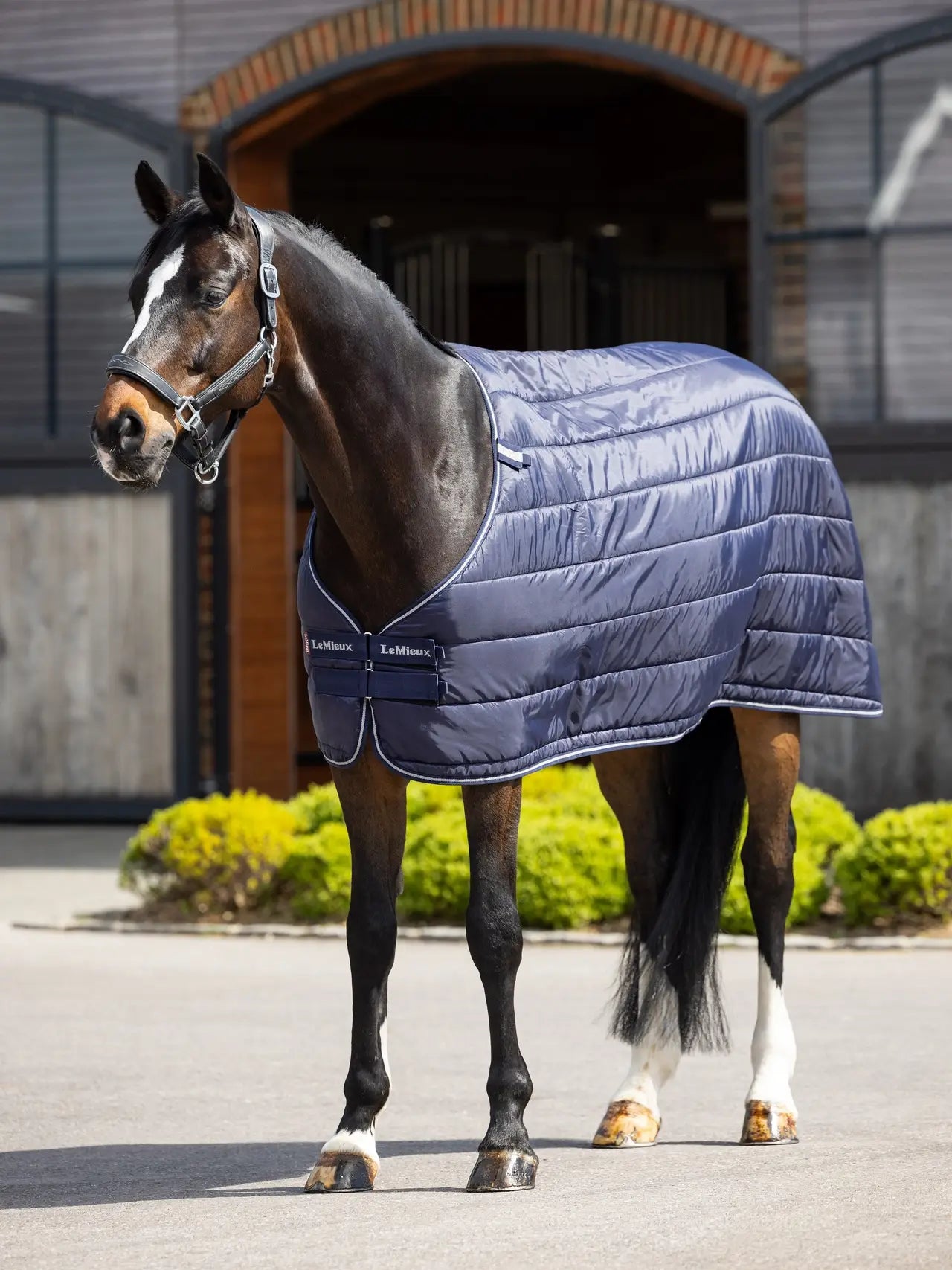 LeMieux Kudos Turnout Rug & Liner Set