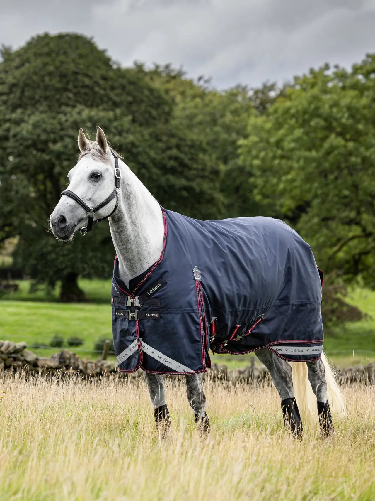 LeMieux Kudos Turnout Rug & Liner Set