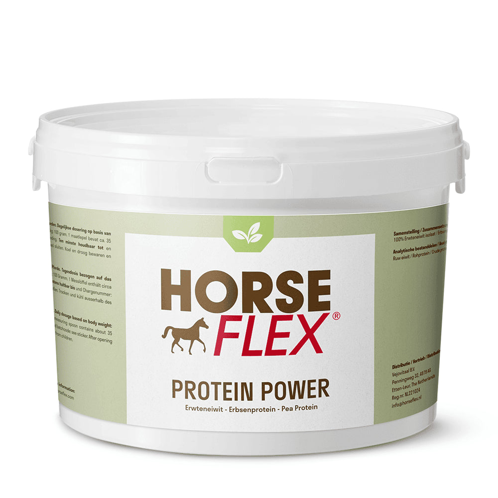 HorseFlex Protein Power
