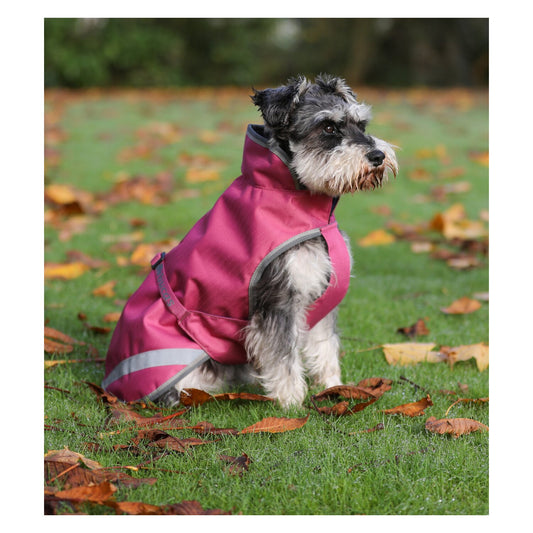 Bucas Regenmantel für Hunde Freedom Dog Rug 50g