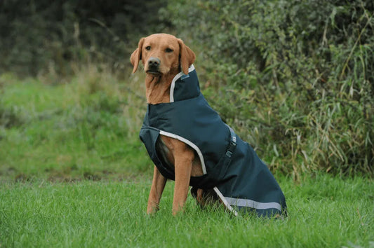 Bucas Regenmantel für Hunde Greenline Dog Rug 50g