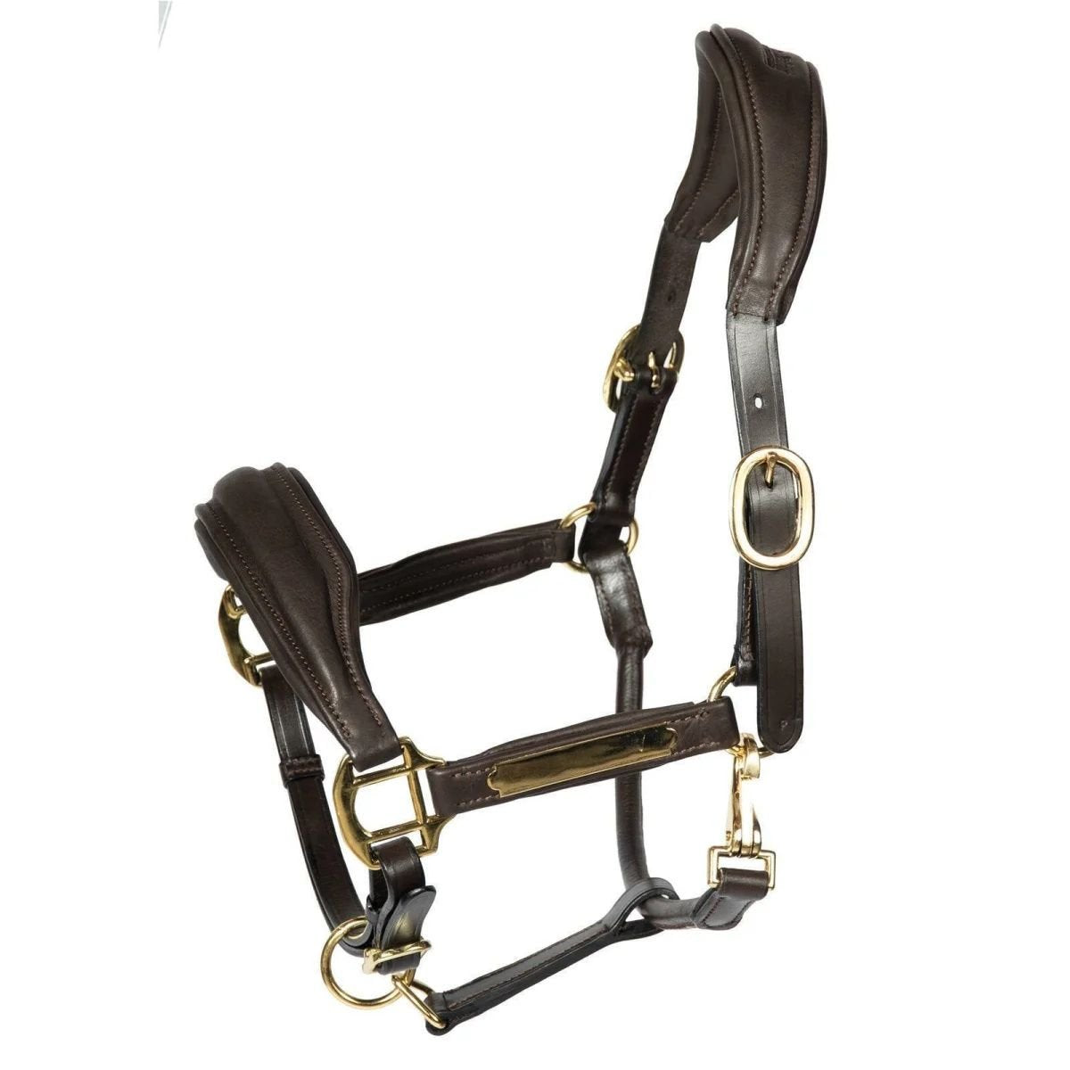 Hans Melzer Halfter Radolfzell Leder (Gravur auf Wunsch möglich)