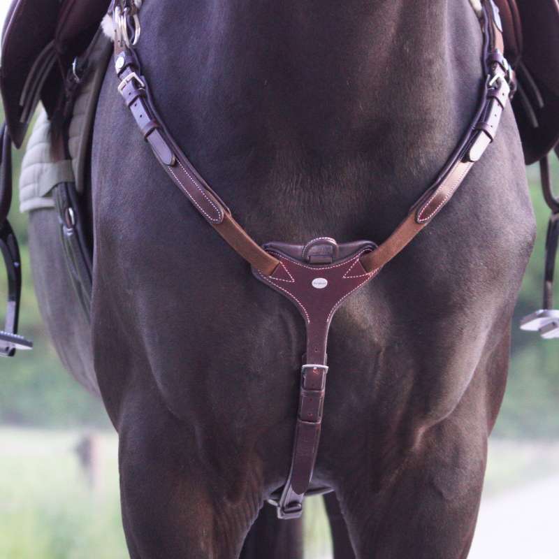 Kavalkade Vorderzeug "Bianca" 5-Punkt mit Elast