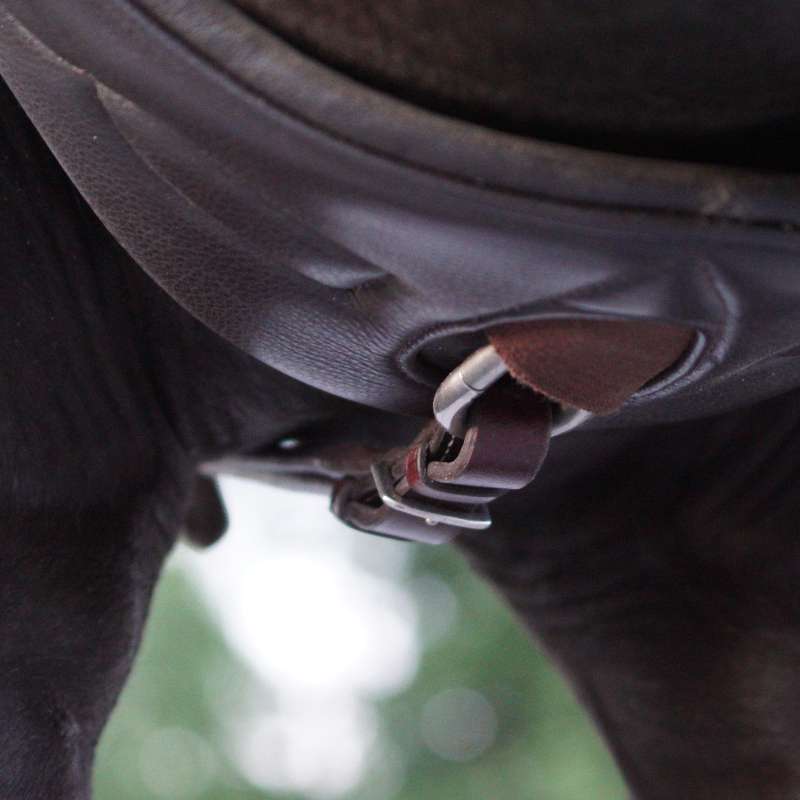 Kavalkade Vorderzeug "Bianca" 5-Punkt mit Elast