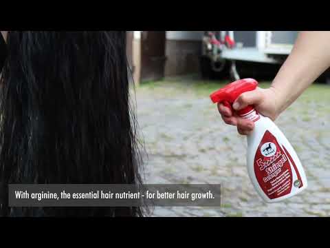 Leovet 5 Sterne Striegel