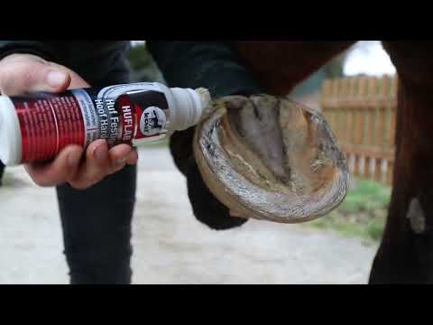 Leovet Huflab Huf Festiger