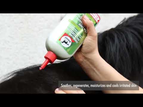 Leovet Teebaum Pflegelotion